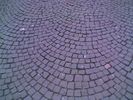 P1000036.jpg.s.jpg